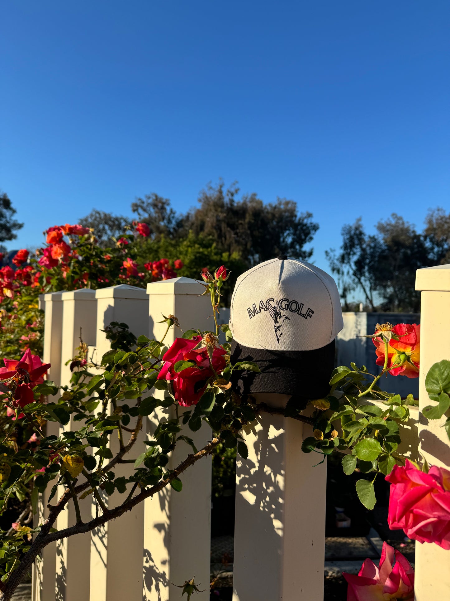 Black & Cream Birdie Snapback